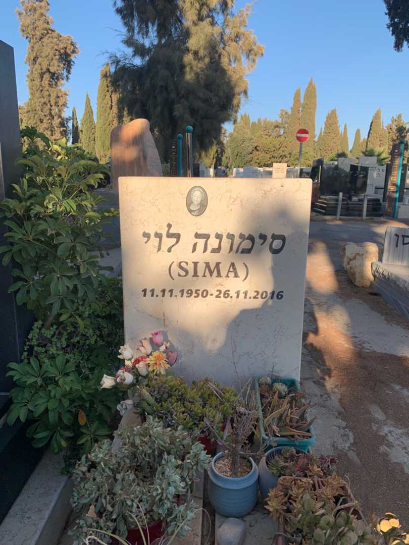קברו של סימונה לוי
