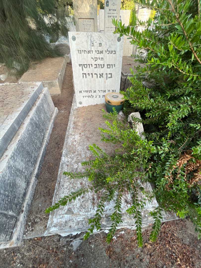 קברו של יום טוב יוסף בן ארויה