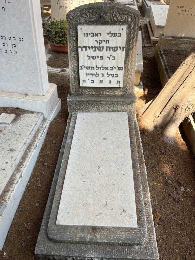 קברו של זישה שניידר