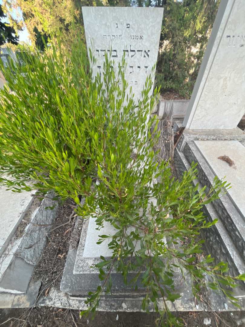 קברו של אדלה ביקו זיגרמן