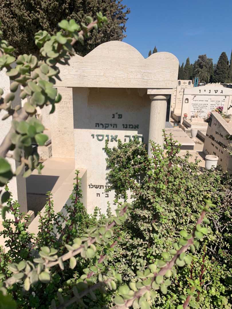 קברו של חוה אגסי. תמונה 1