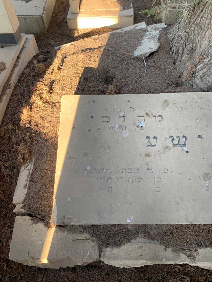 קברו של מרדכי אלישע. תמונה 2