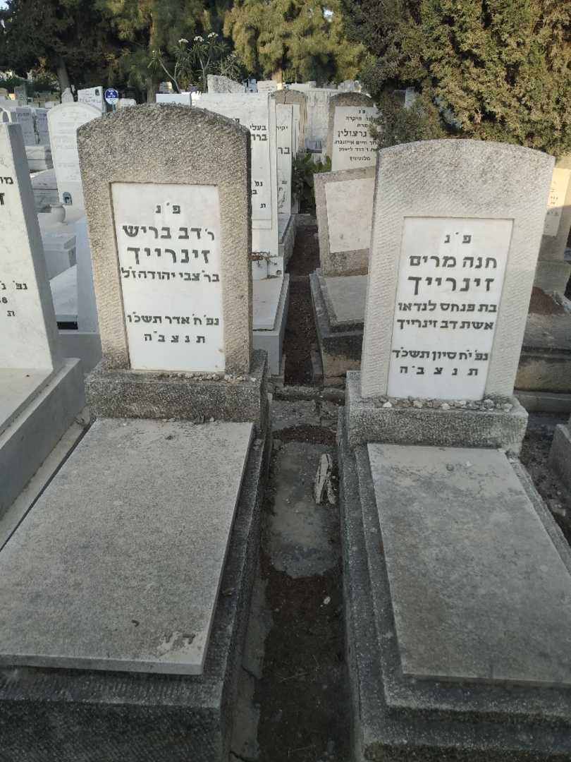 קברו של דב בריש זינרייך. תמונה 2