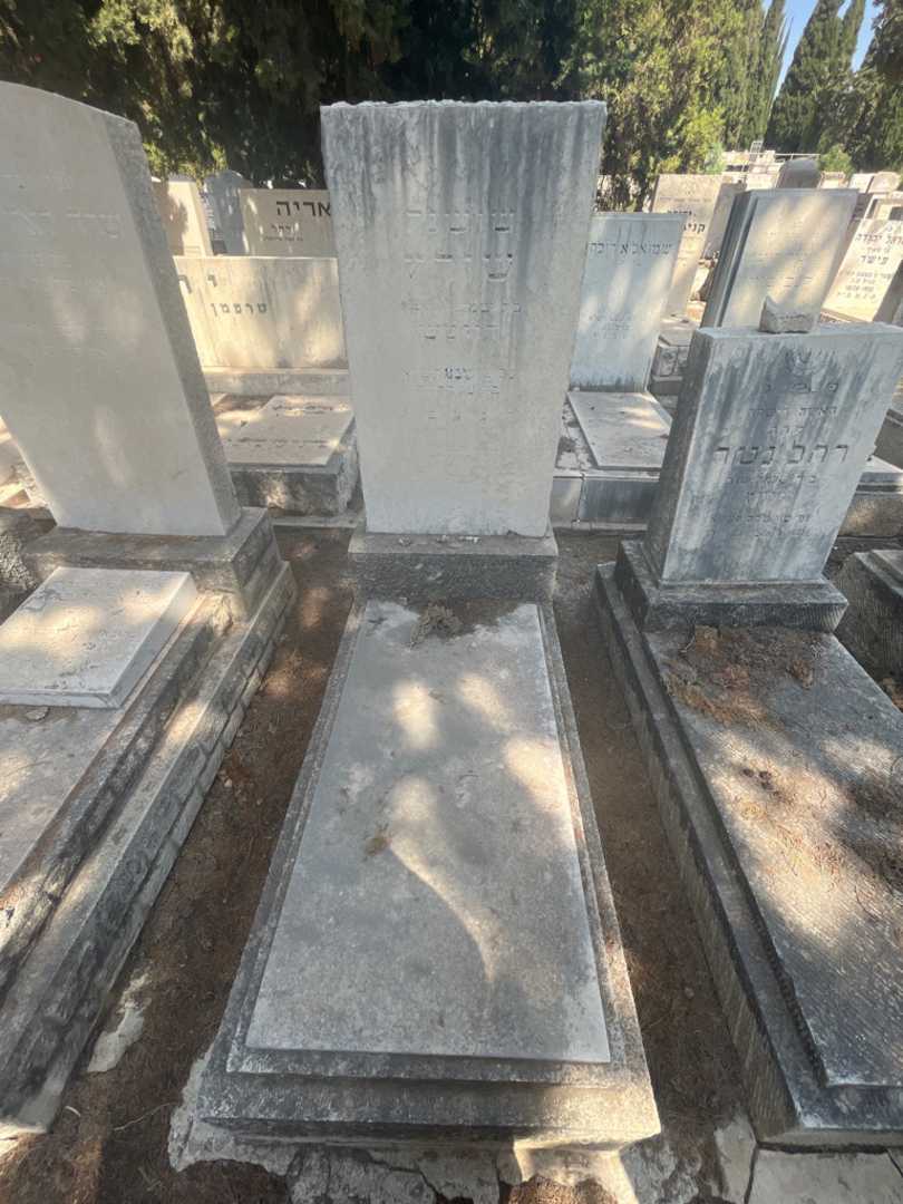 קברו של שושנה שורץ