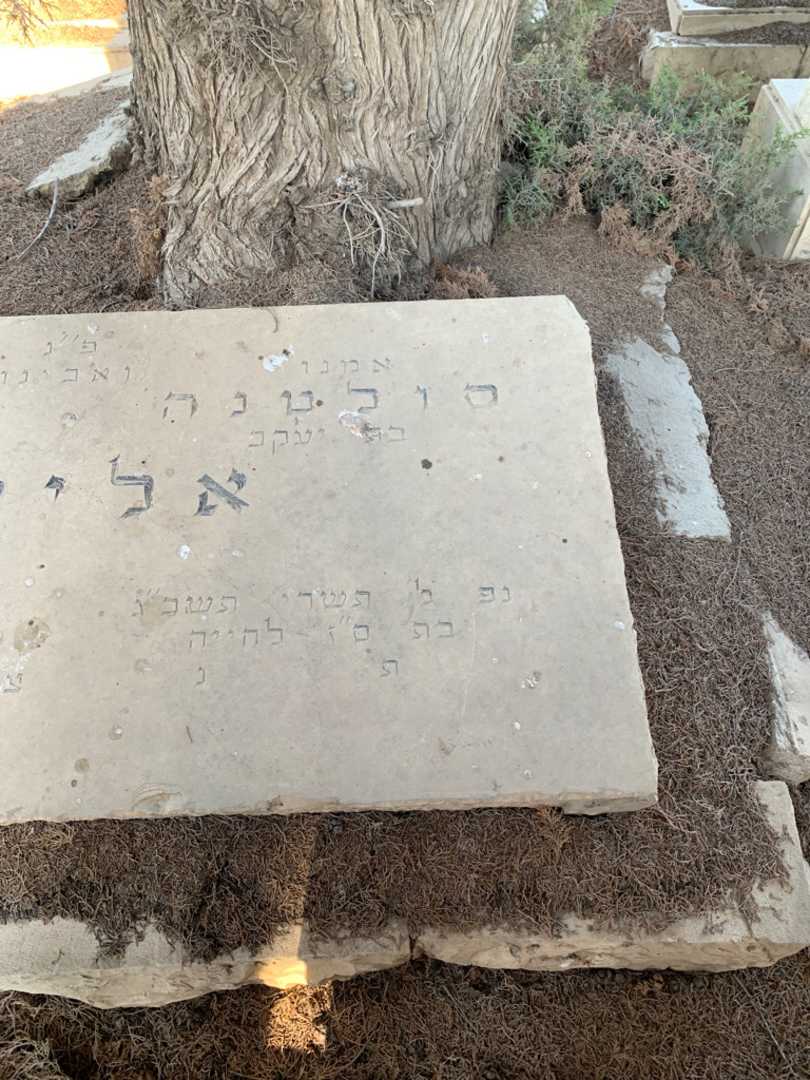קברו של סולטנה אלישע. תמונה 2