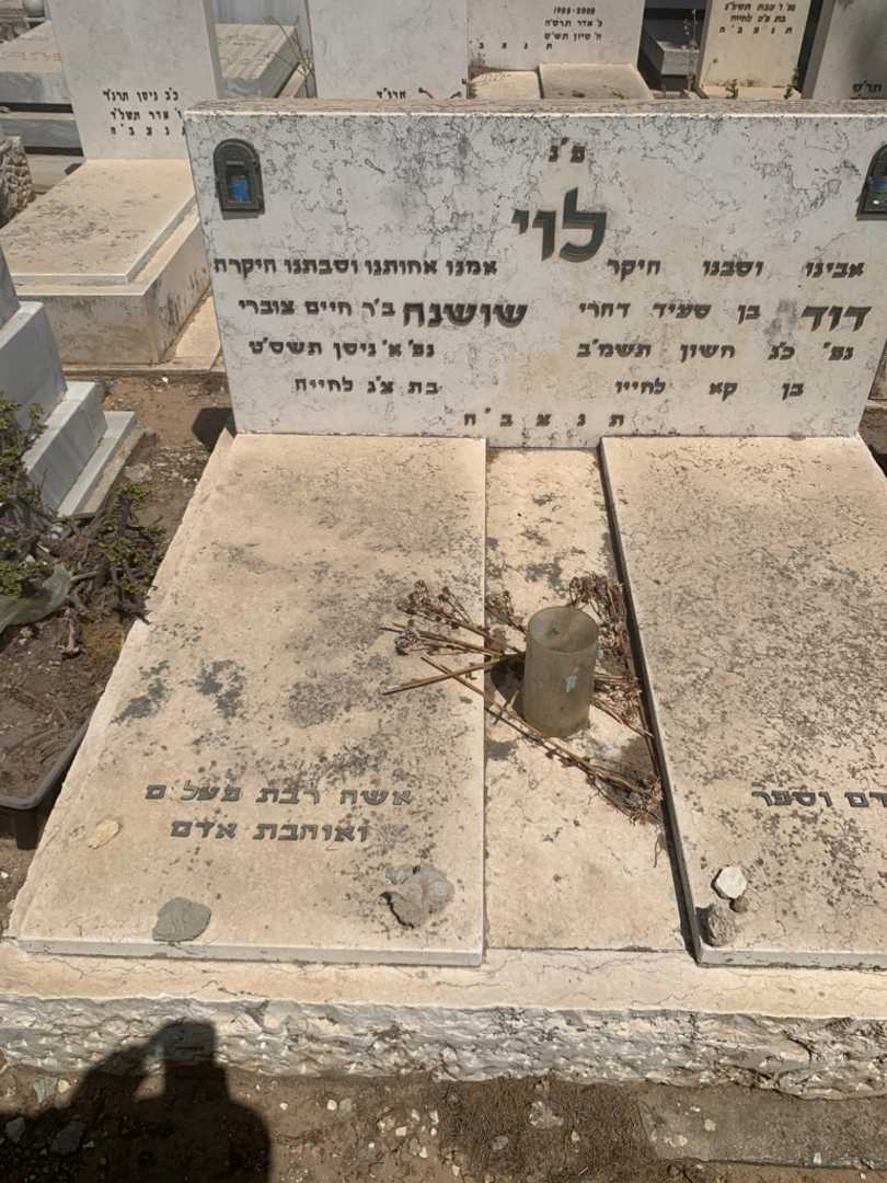 קברו של שושנה לוי. תמונה 1