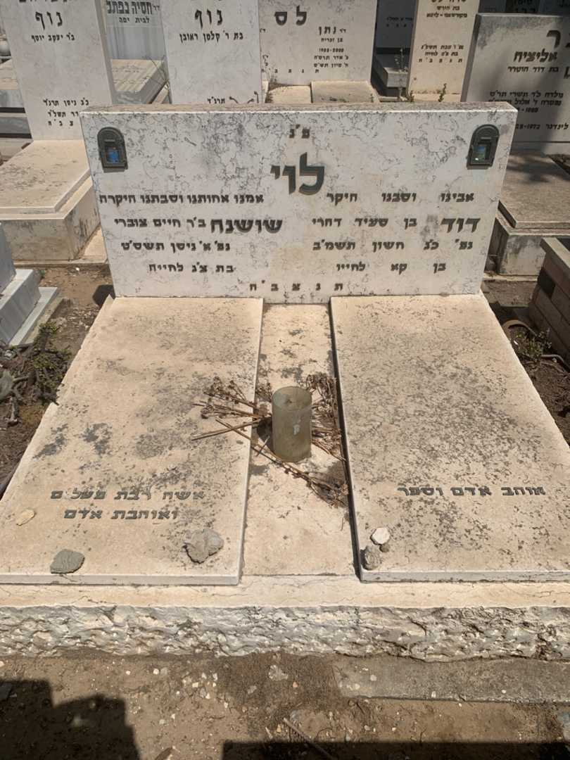 קברו של שושנה לוי. תמונה 2