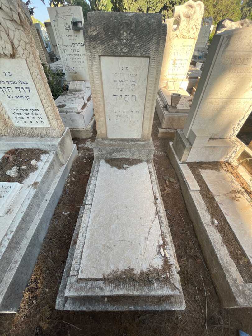 קברו של שלמה חסיד