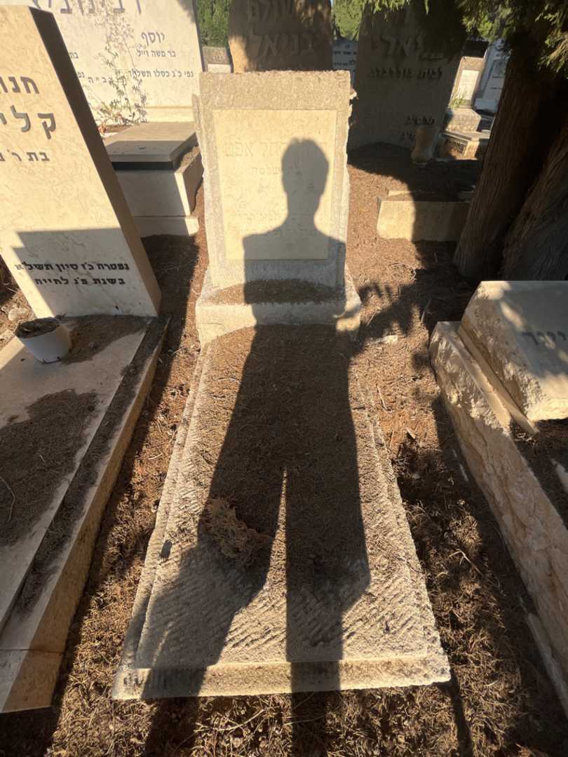 קברו של רוזה רחל אפט