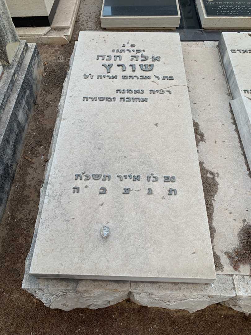 קברו של אלה חנה שורץ. תמונה 2