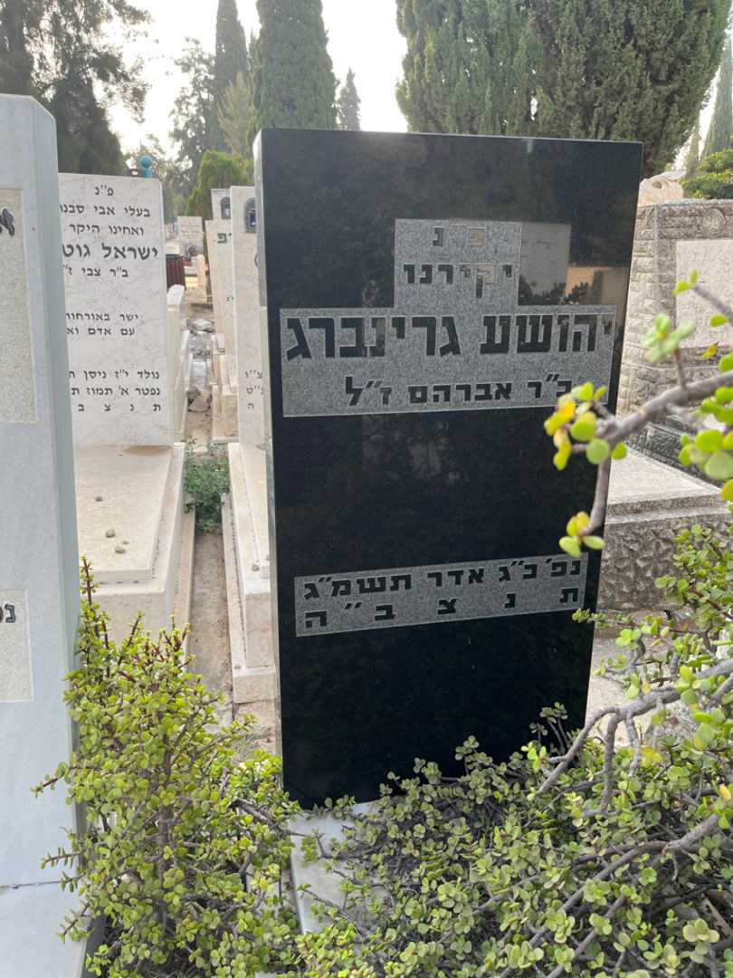 קברו של יהושע גרינברג. תמונה 2