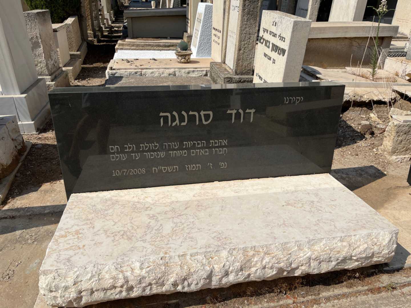 קברו של דוד סרגנה