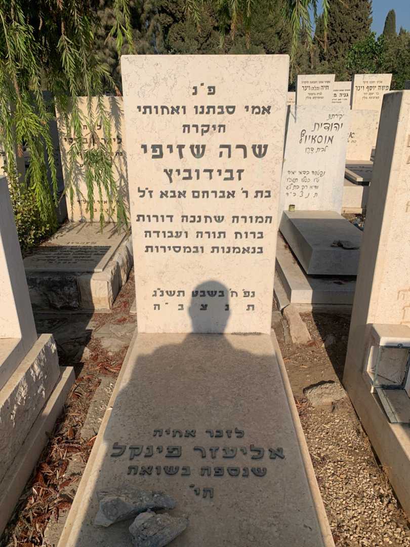 קברו של שרה שזיפי זבידוביץ