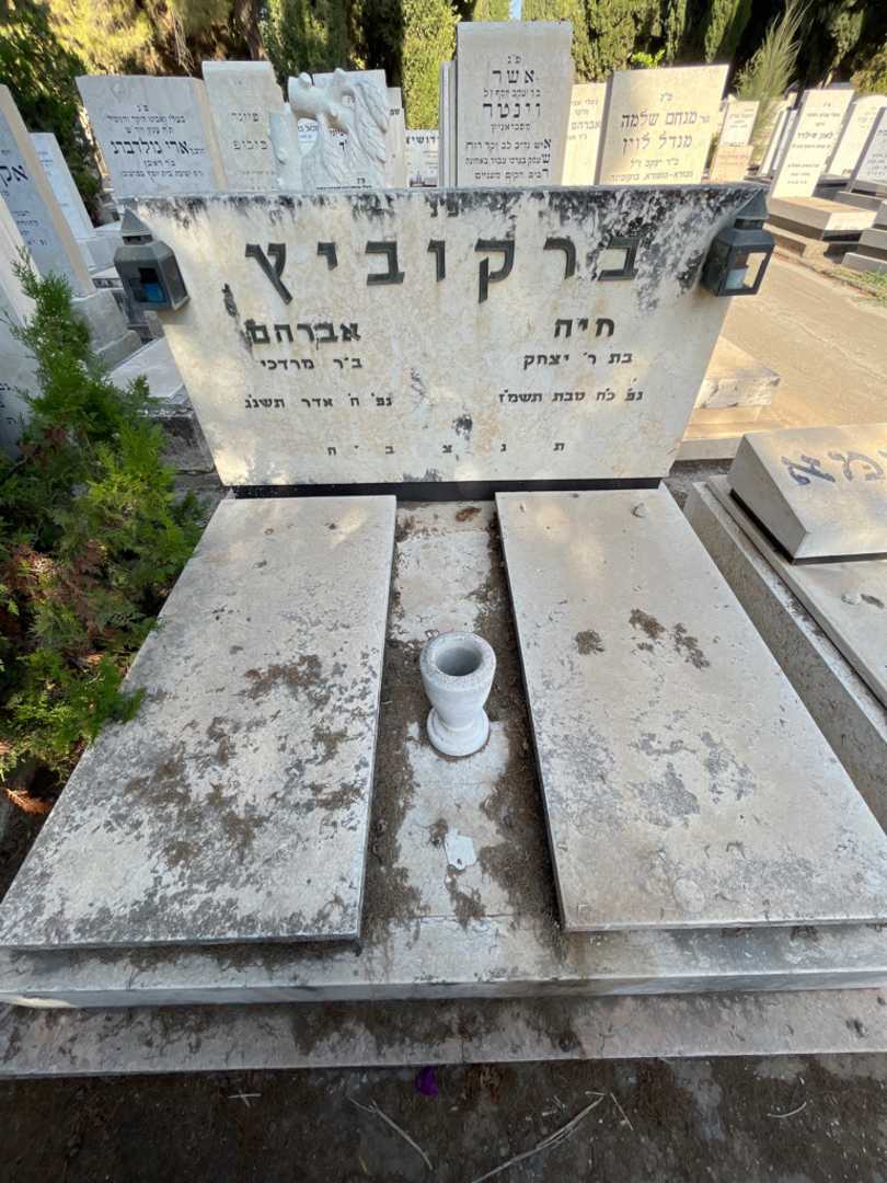 קברו של אברהם ברקוביץ. תמונה 1