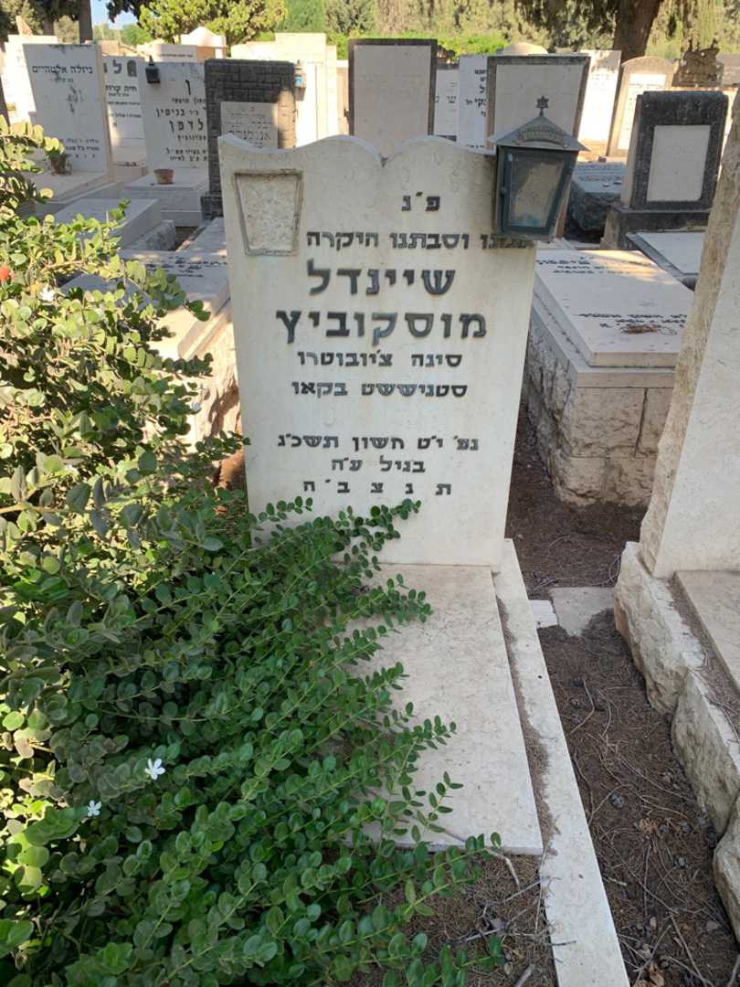 קברו של שיינדל מוסקוביץ. תמונה 1