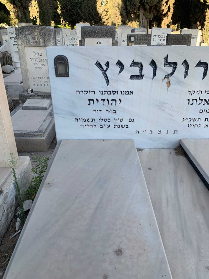קברו של יהודית סרולוביץ. תמונה 2