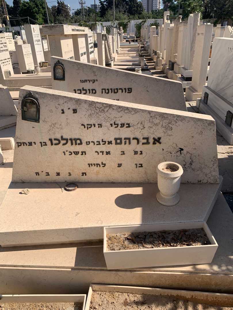 קברו של אברהם "אלברט" מולכו