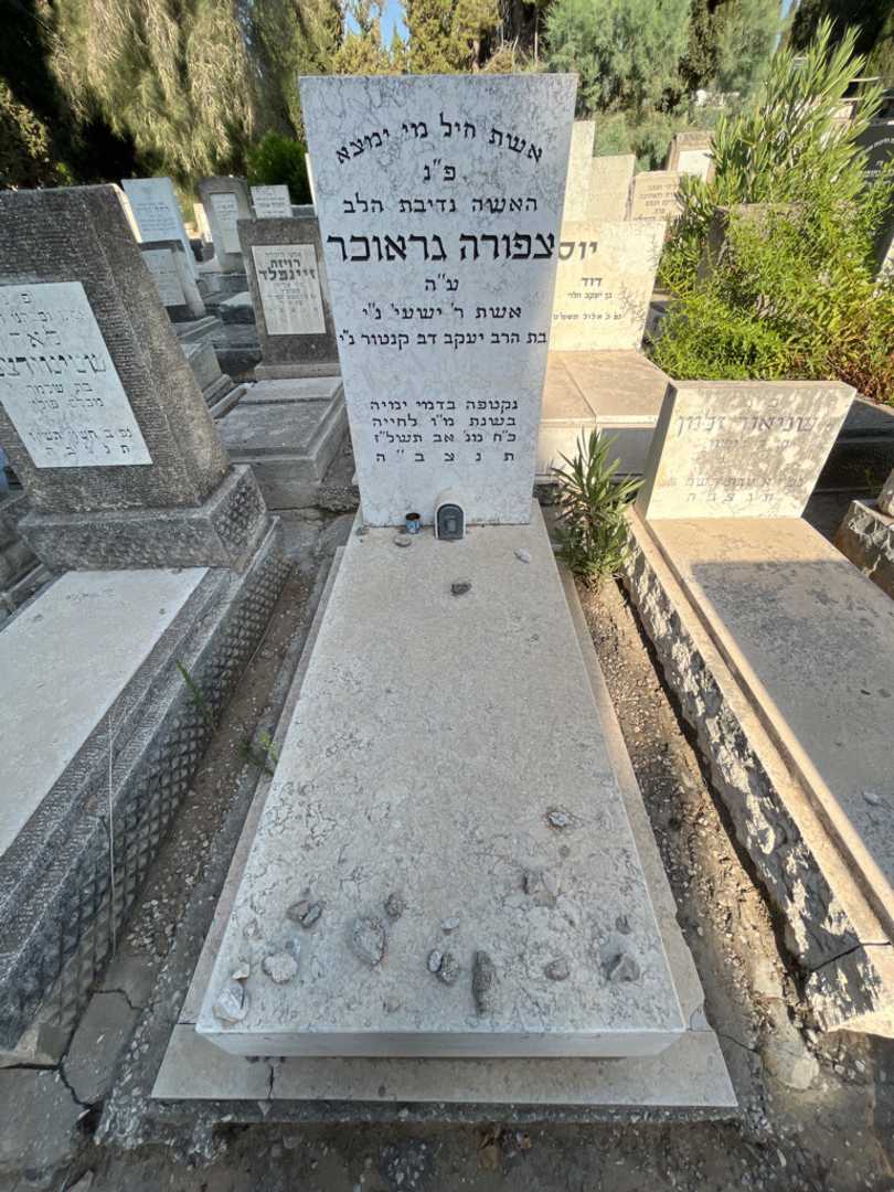 קברו של צפורה גראוכר קנטור