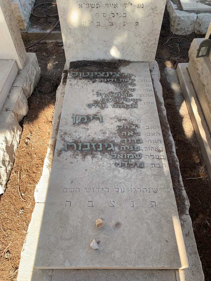 קברו של שמואל גינזבורג. תמונה 2