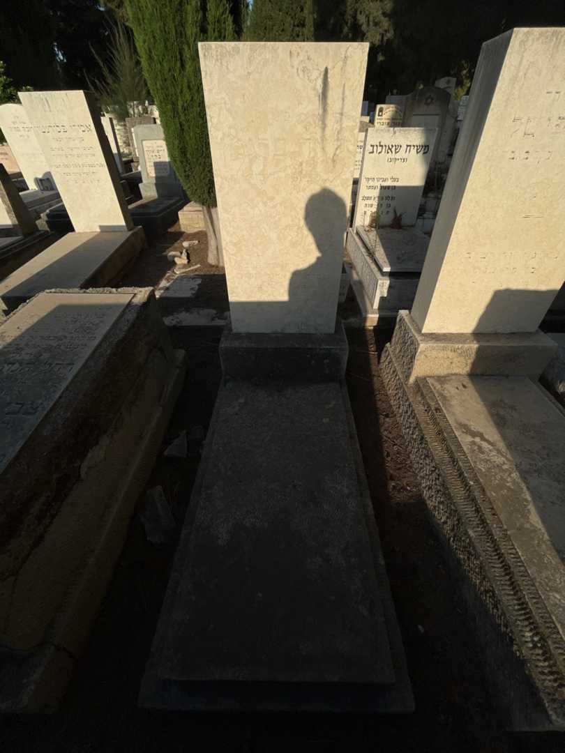 קברו של לאה ברגמן. תמונה 2