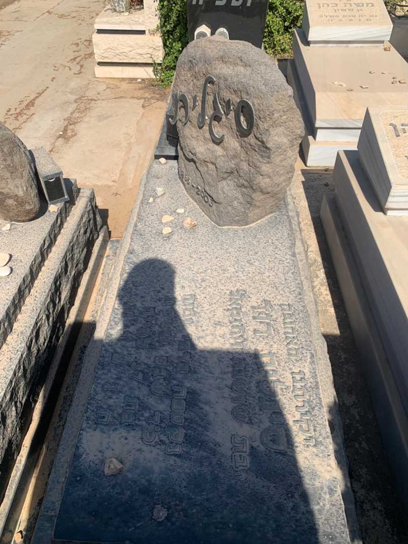 קברו של סיגלית דוד. תמונה 1