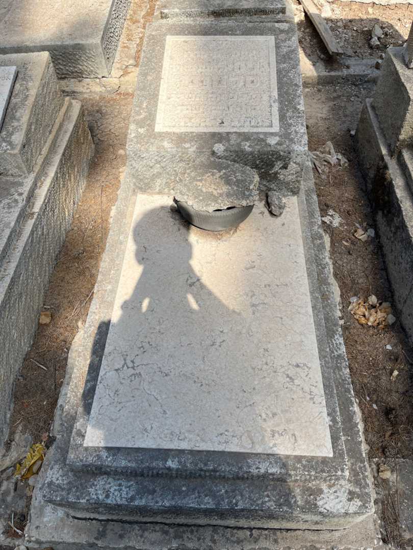 קברו של גויה סלמוני