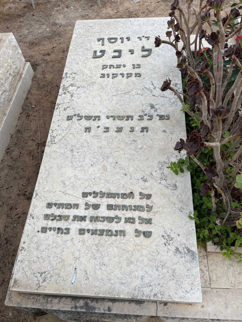 קברו של יוסף ליכט. תמונה 2