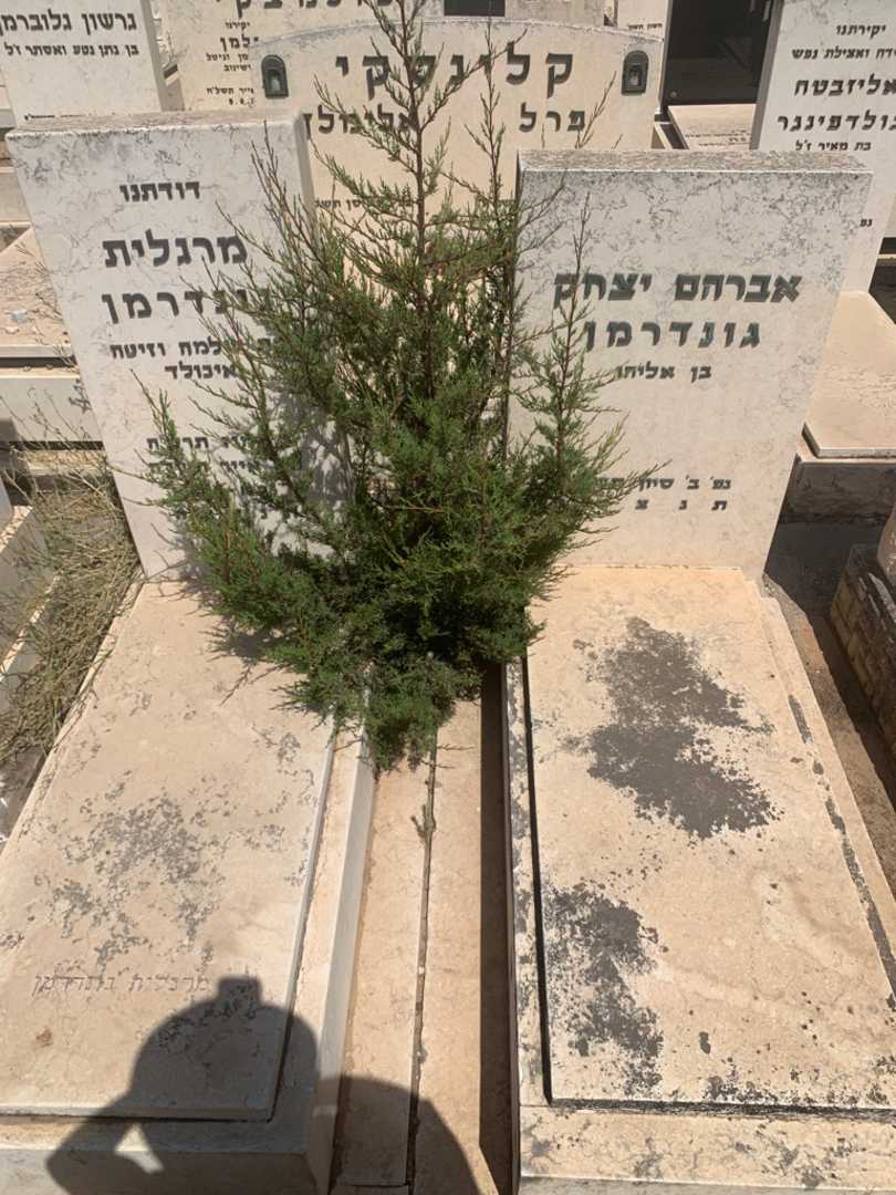 קברו של אברהם יצחק גונדרמן. תמונה 2