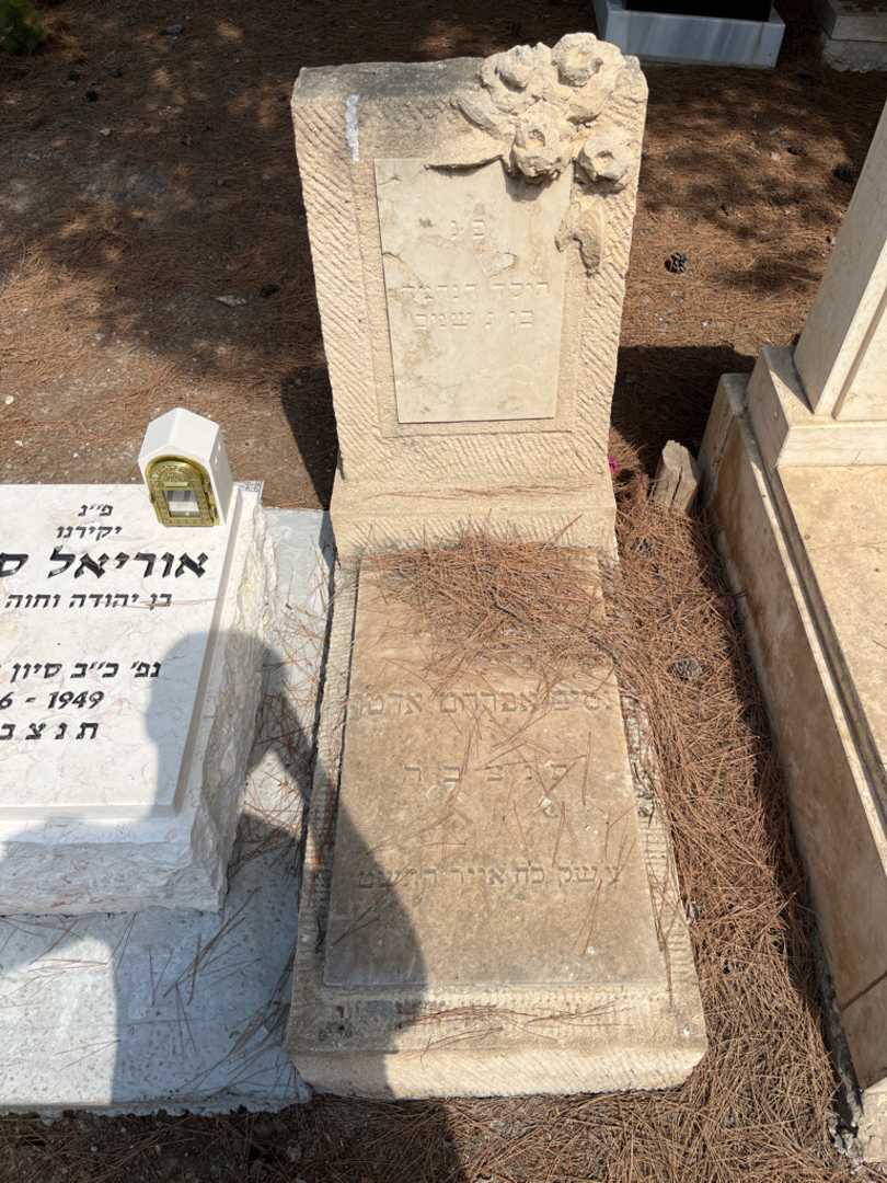 קברו של נסים אברהם אדטן
