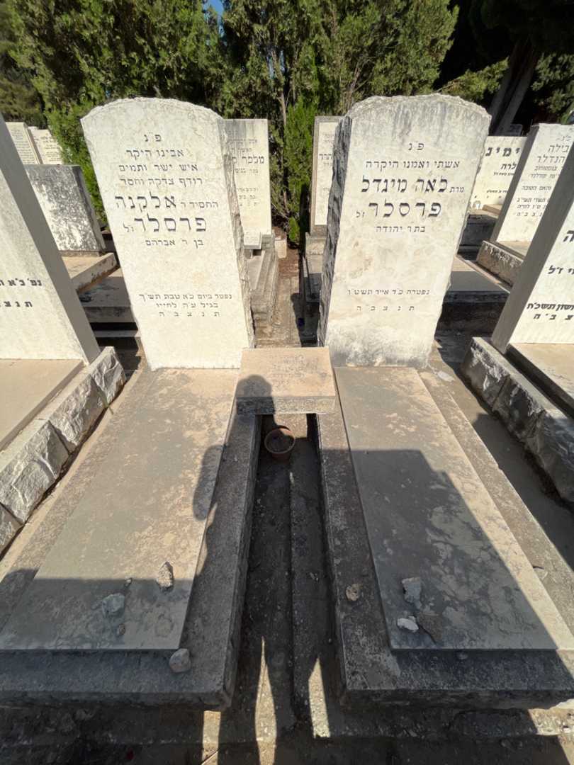 קברו של אלקנה פרסלר. תמונה 1