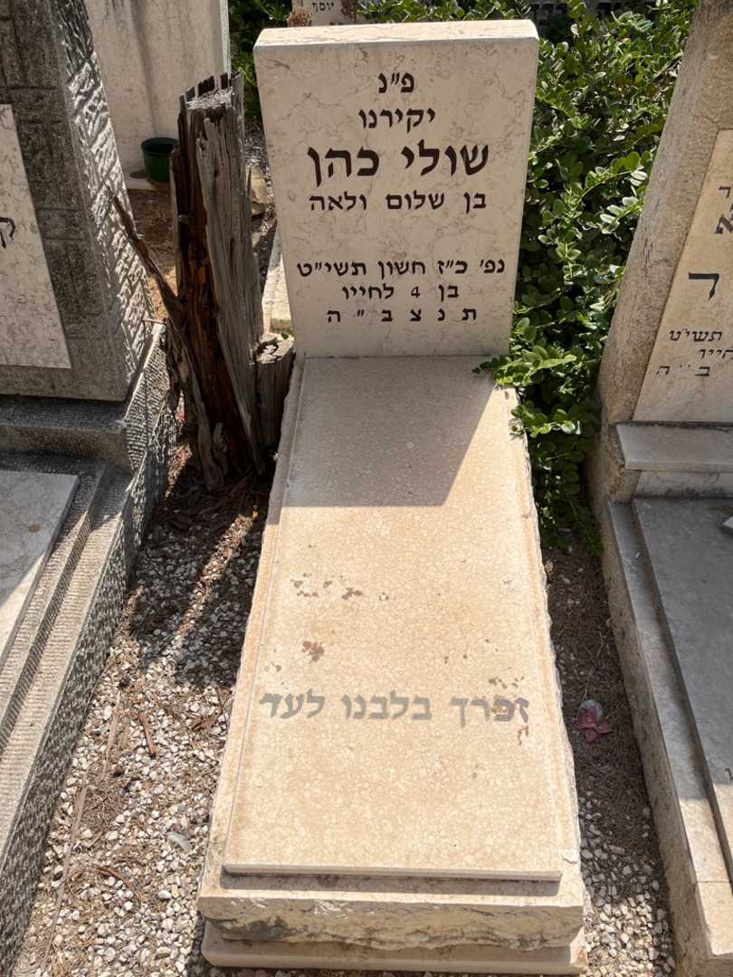 קברו של שולי כהן