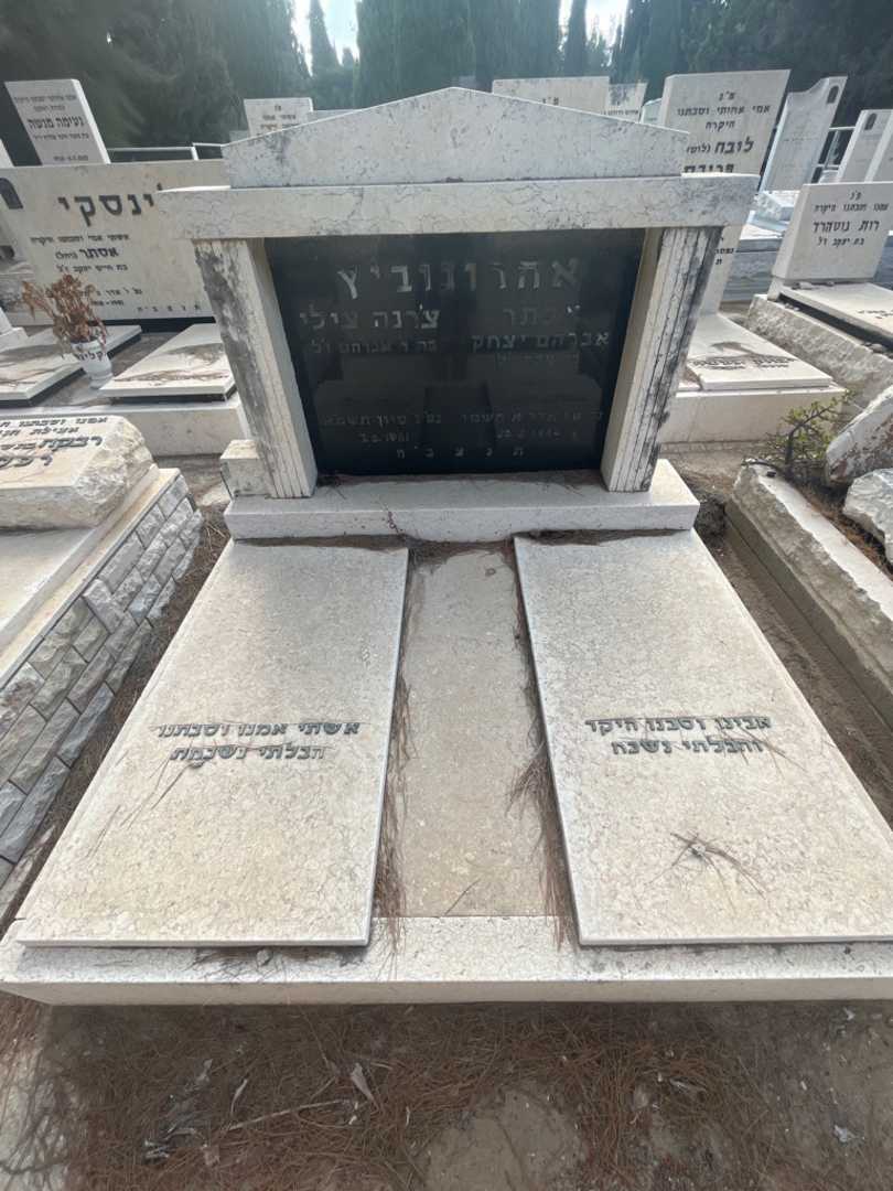 קברו של אלתר "אברהם יצחק" אחרונוביץ. תמונה 2