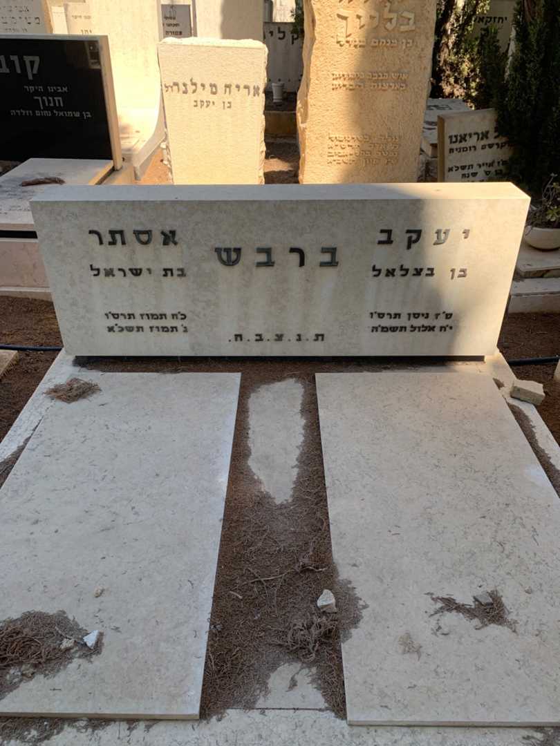קברו של יעקב ברבש. תמונה 1