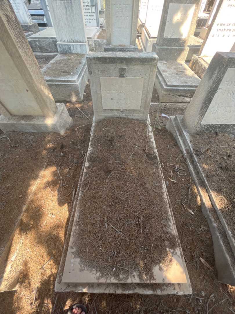 קברו של בסיה איצקוביץ