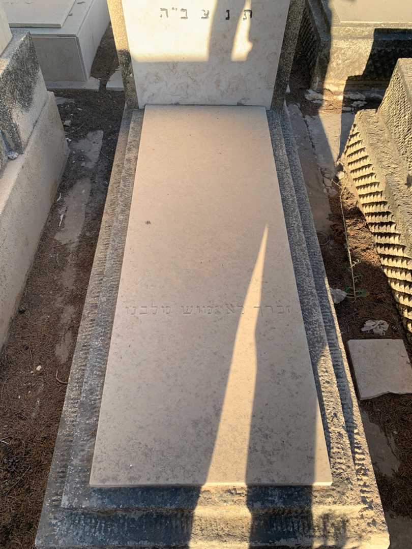 קברו של רחל אוליצקי. תמונה 2