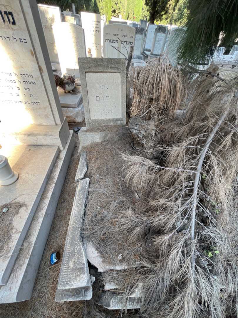 קברו של שמואל בלום