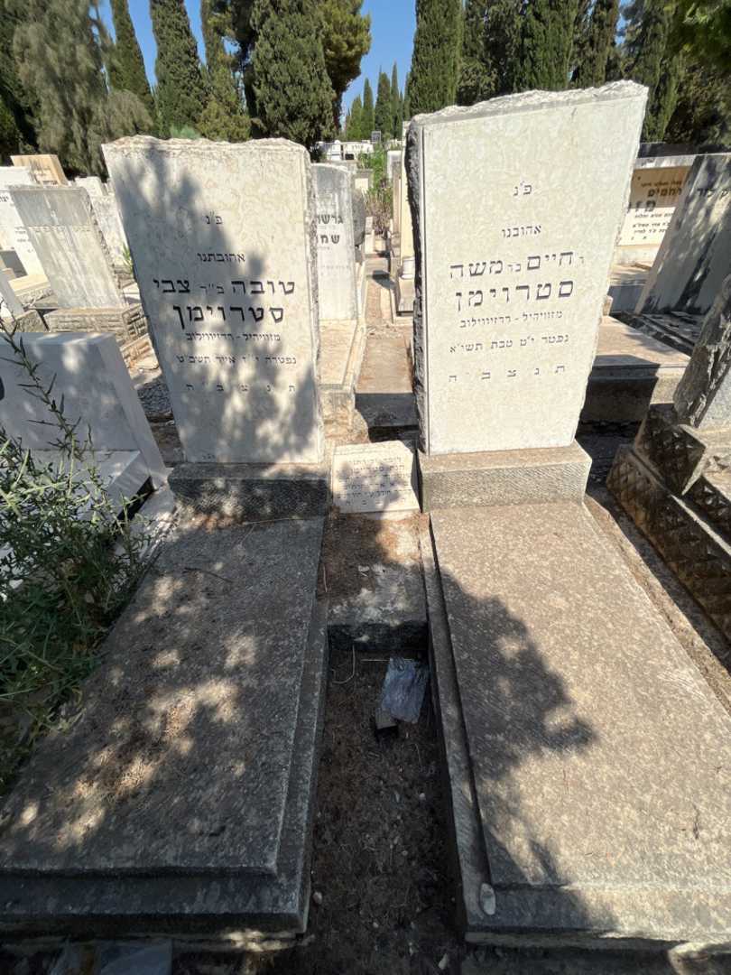 קברו של חיים סטרוימן. תמונה 2