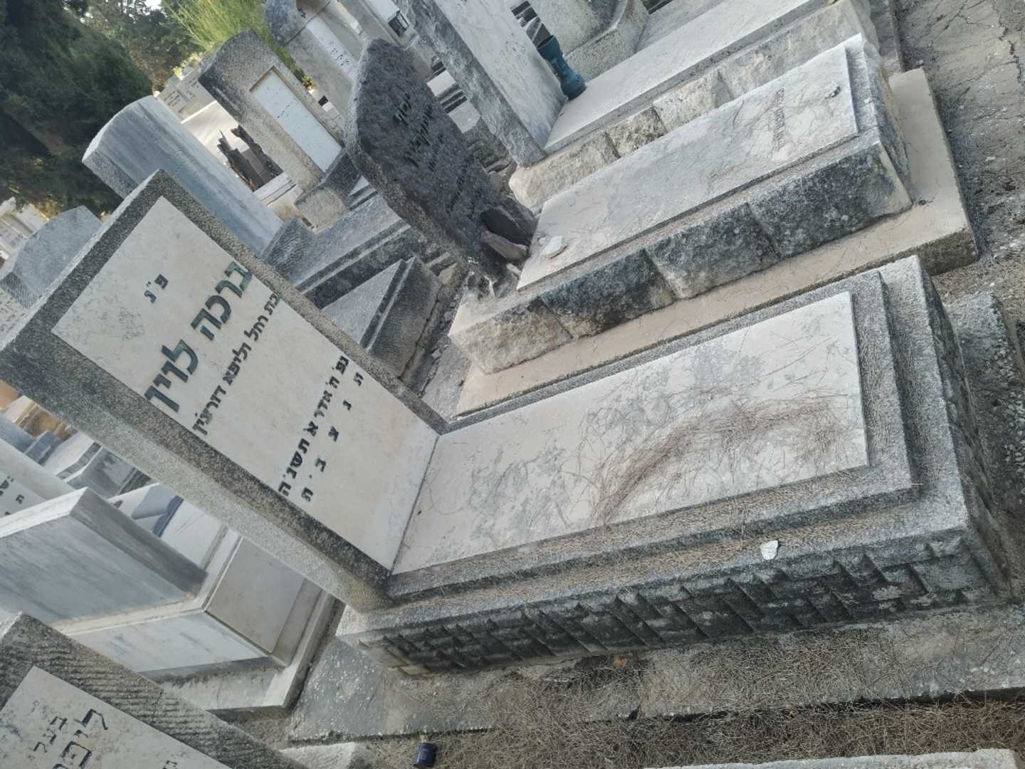 קברו של ברכה לוין
