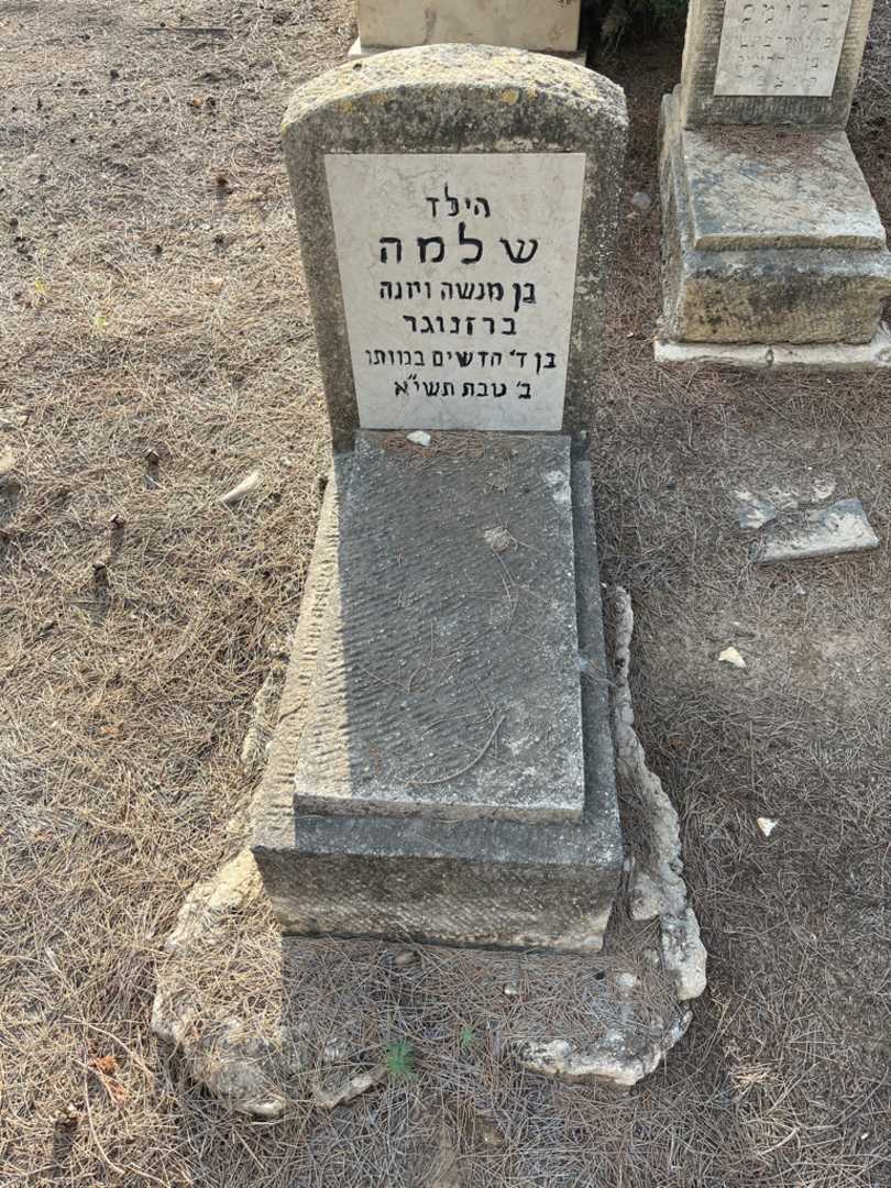 קברו של שלמה ברזנוגר