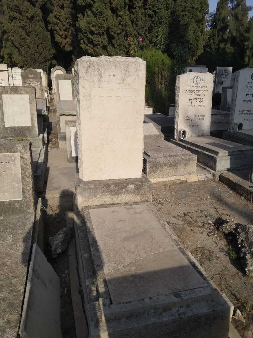 קברו של טובה שפרמי. תמונה 1