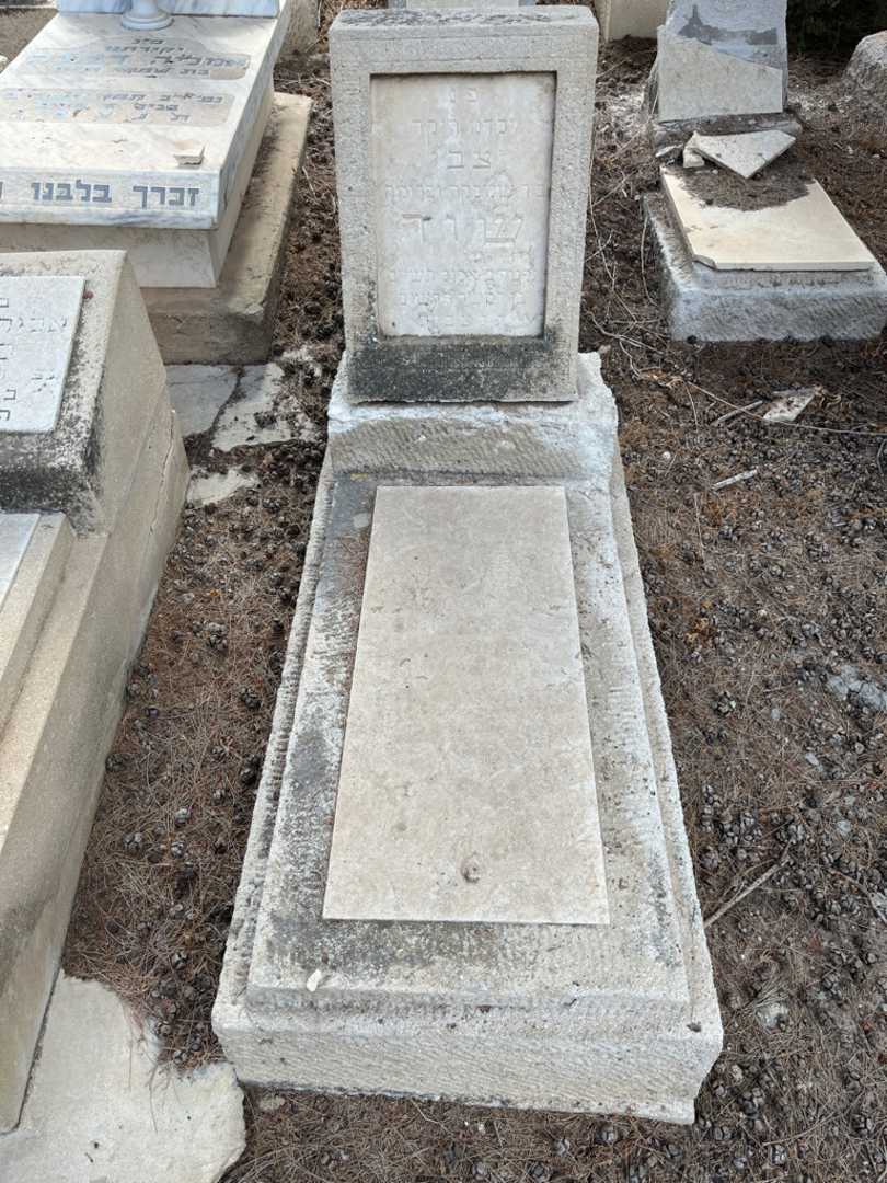 קברו של צבי שור
