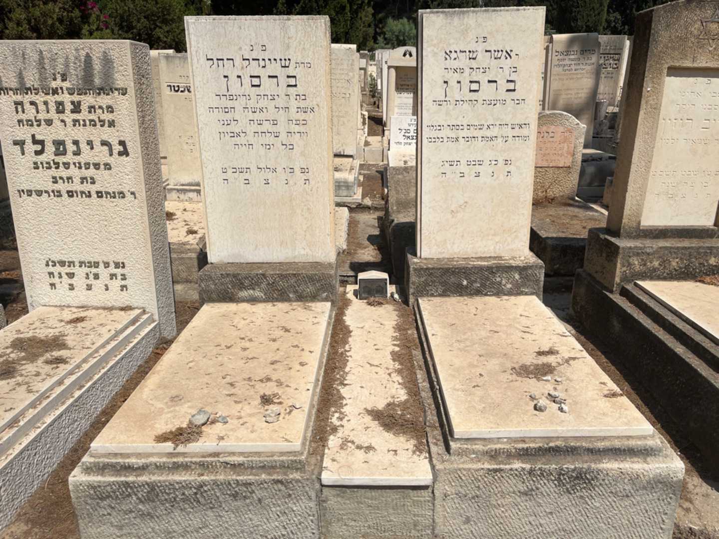 קברו של שיינדל רחל ברסון גרינפדר. תמונה 1