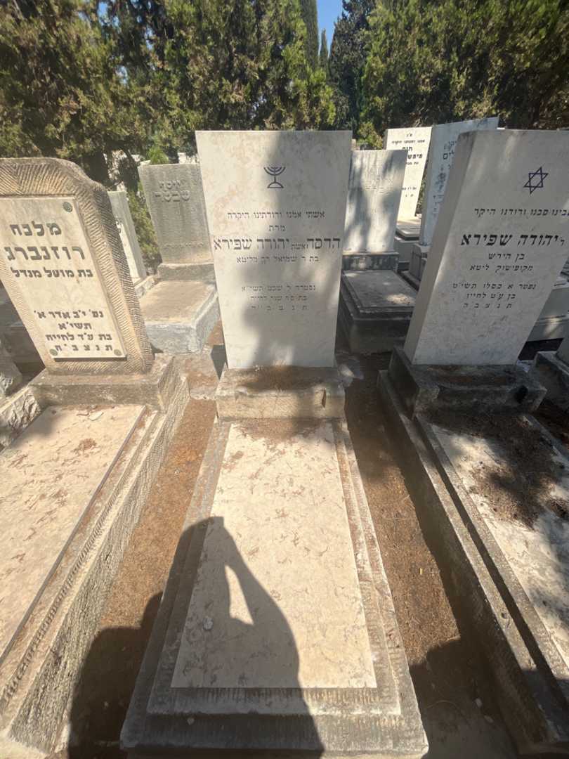קברו של הדסה שפירא. תמונה 1