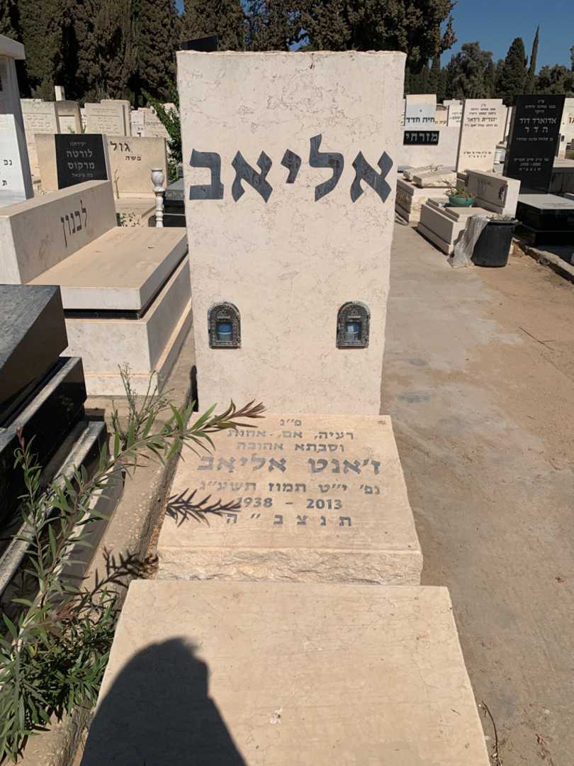 קברו של ז׳אנט אליאב