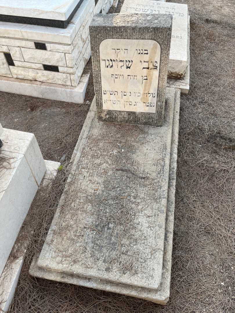 קברו של צבי שלזינגר