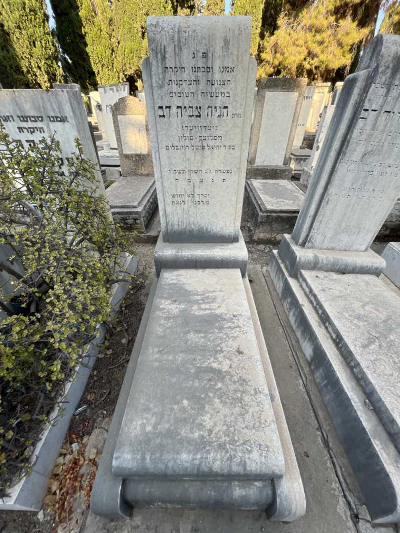 קברו של הניה צביה דב. תמונה 1