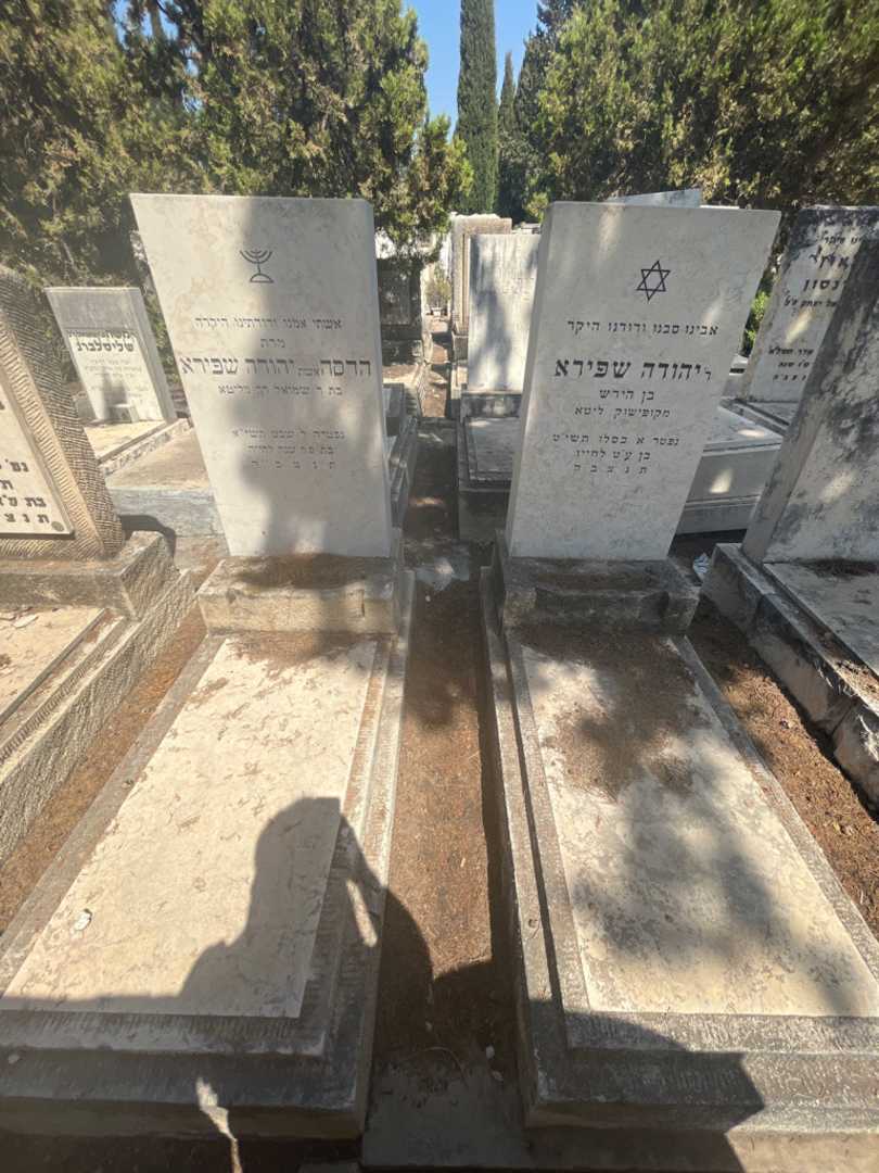 קברו של הדסה שפירא. תמונה 2