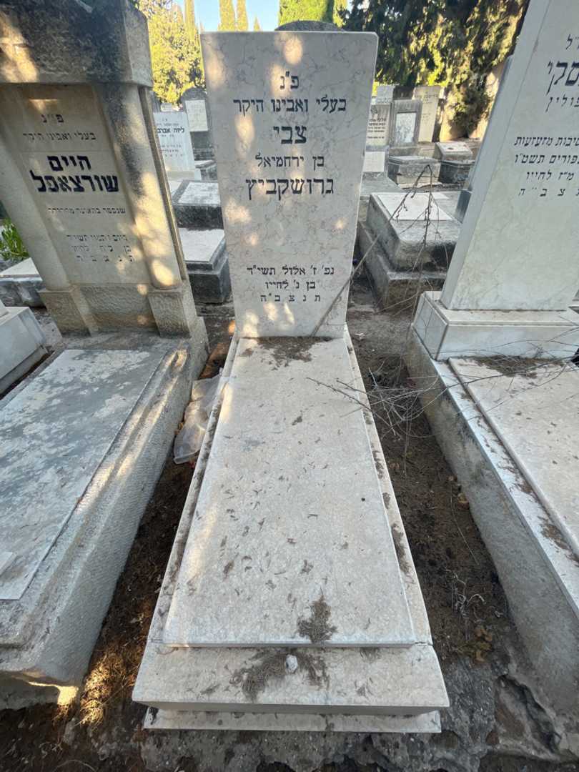 קברו של צבי גרושקביץ