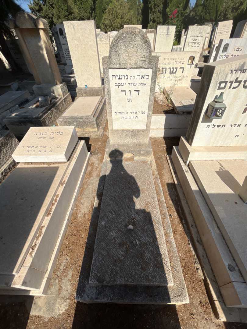 קברו של לאה דוד