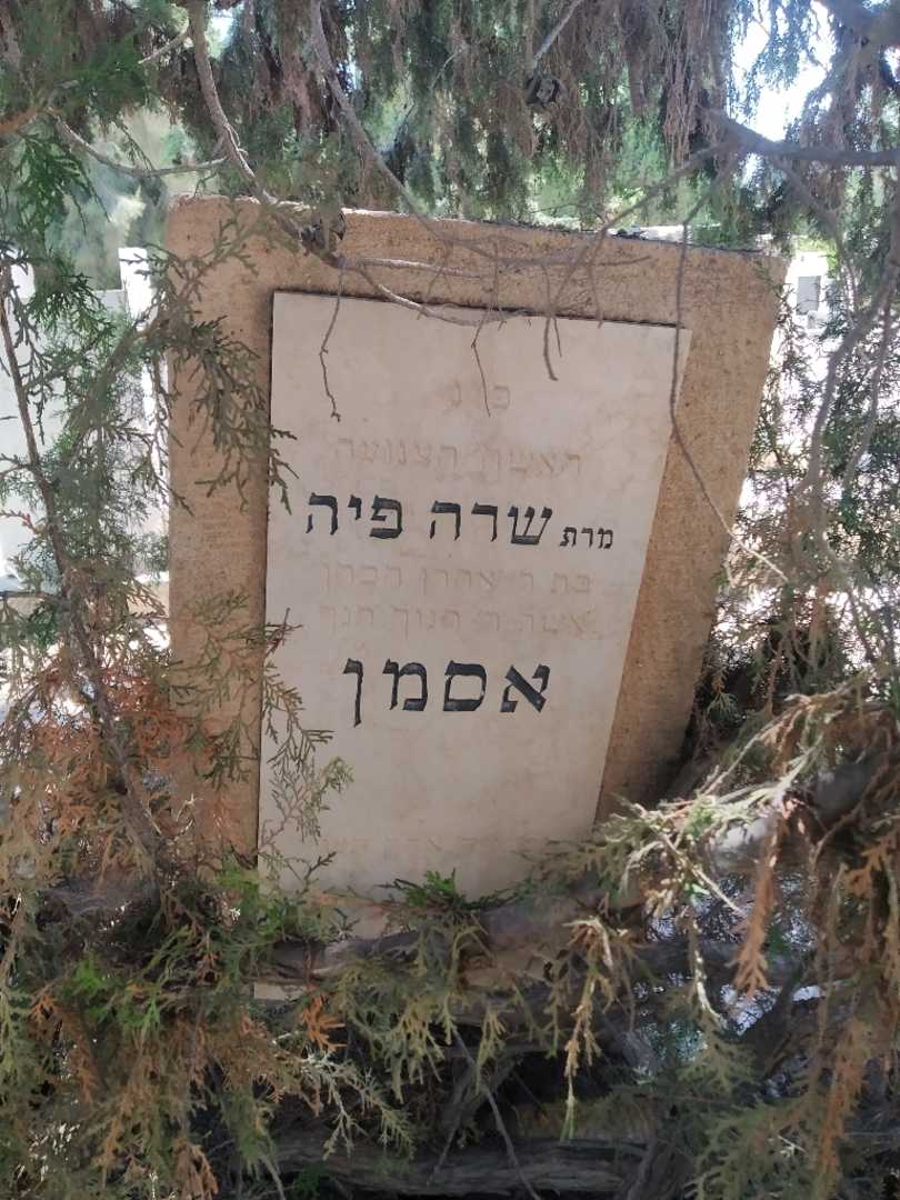 קברו של שרה פיה אסמן. תמונה 2